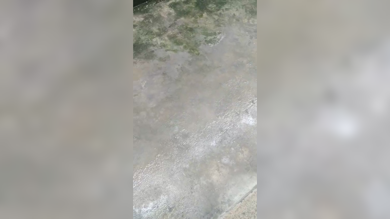 雨天下窝052