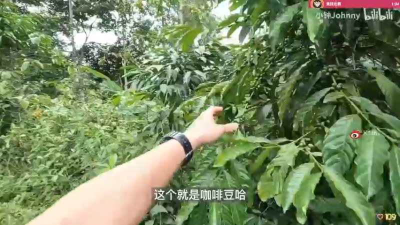 【2022-11-24 14点场】K118吗：双倍亲密度：播到OW倒闭