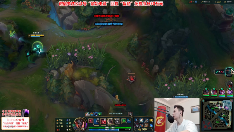 【英雄联盟】智勋勋勋勋的精彩时刻 20221125 22点场