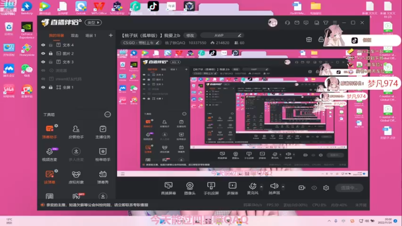 【2022-11-24 20点场】桃子妖QAQ：【桃子妖（孤单版）】我要上b