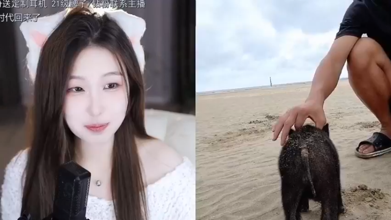 【2022-11-26 15点场】川味箩卜：海南流浪记