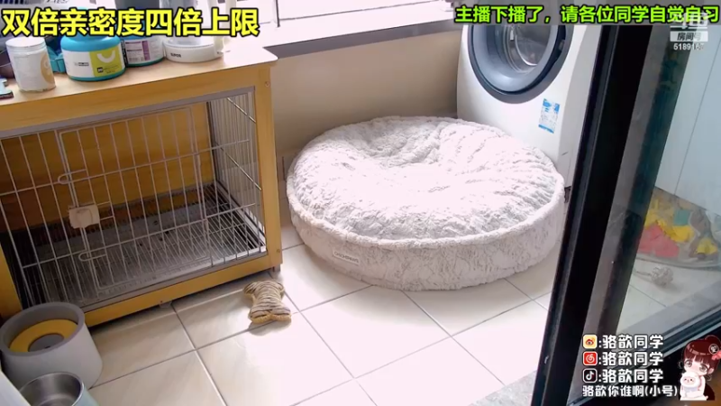 【2022-11-26 15点场】骆歆冲冲冲：双倍：现在是斗宝time，7点来