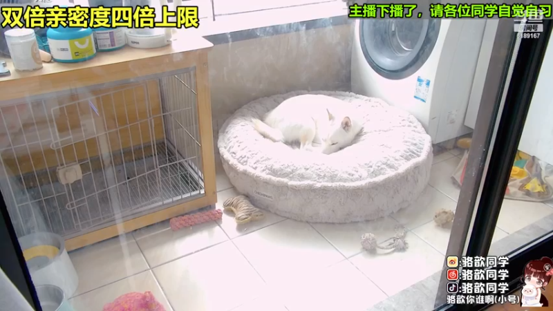 【2022-11-26 11点场】骆歆冲冲冲：双倍：现在是斗宝time，7点来
