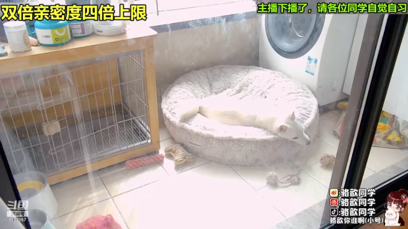 【2022-11-26 13点场】骆歆冲冲冲：双倍：现在是斗宝time，7点来