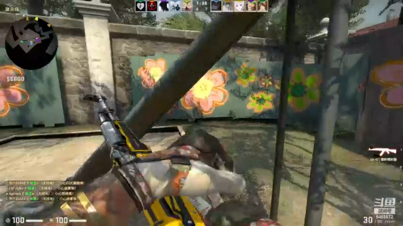 【2022-11-26 17点场】海豹zzz：最近都csgo！