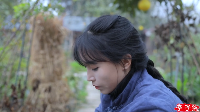 【美食】李子柒liziqi的精彩时刻 20221126 13点场