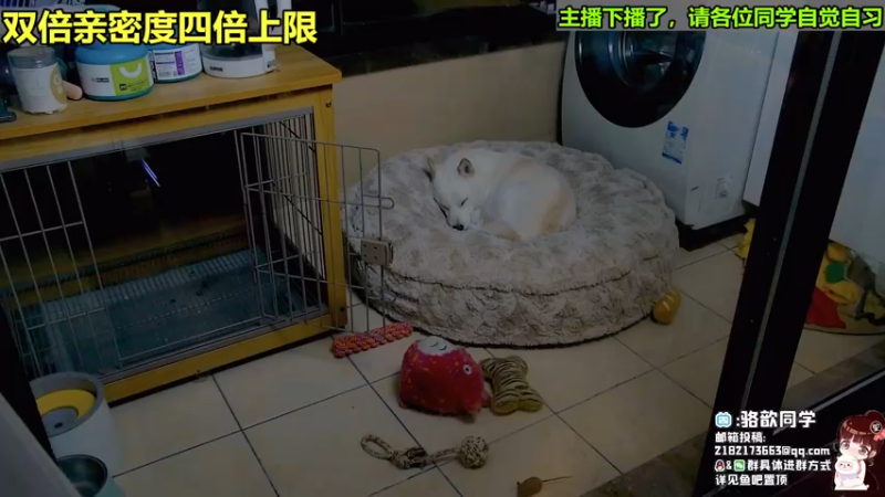 【2022-11-26 03点场】骆歆冲冲冲：双倍：现在是斗宝time，7点来
