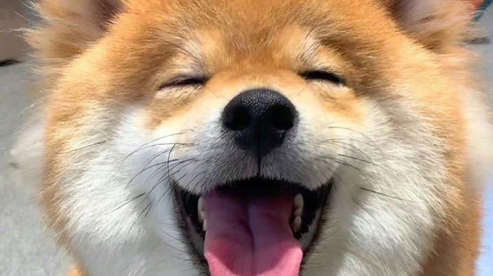 章丘杯直播