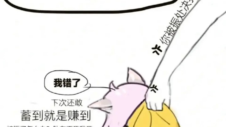 11.27录像