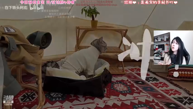 【2022-11-24 14点场】是希文吖丶：【双倍亲米】最近休养手腕