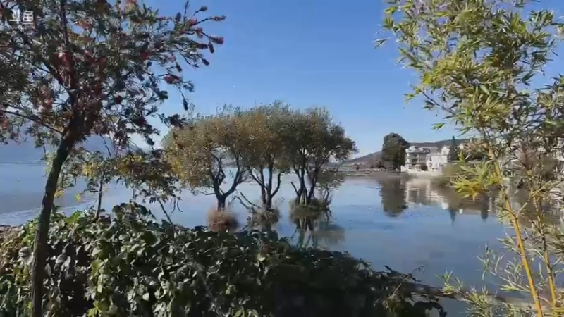 【2022-11-26 15点场】肉仔OvO：【小奶团】˶⍤⃝˶꒳ᵒ꒳ᵎᵎᵎ30大寿！