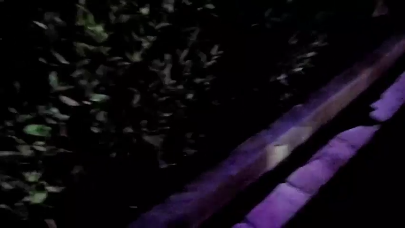 【2022-11-28 21点场】洪湖小肖：兄弟们3点开播