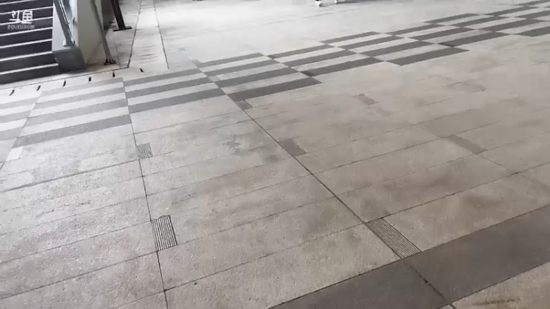 【2022-11-27 13点场】格洛莉娅S：杭州展子！