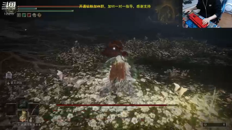 【2022-11-27 18点场】神奇的阿诺：29号登录巨龙岛