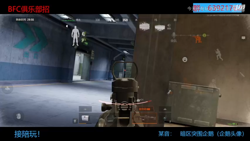 观战帝王