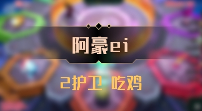 【阿豪ei】2护卫 吃鸡