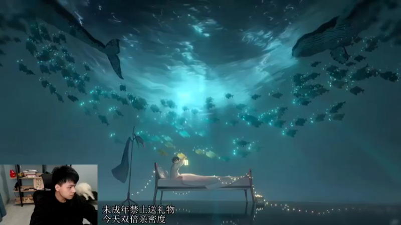 【2022-11-29 19点场】a九日i999：九日：王者荣耀