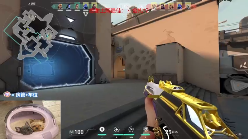 【2022-11-28 18点场】瓦罗兰特啊杰：【啊杰】：双倍亲密度！！！