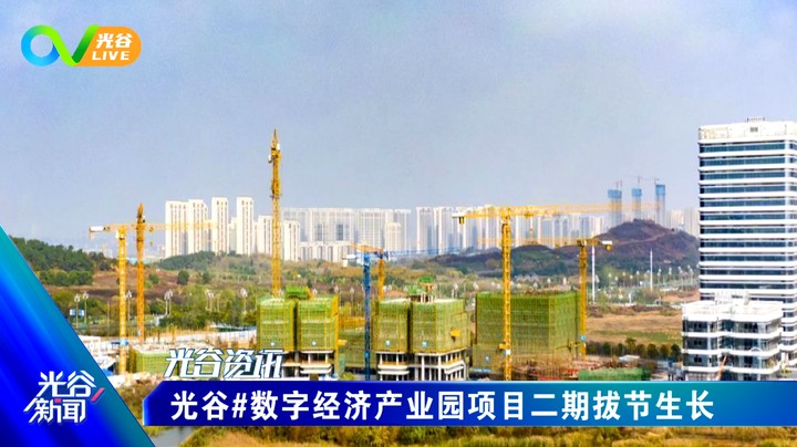 20221129光谷新闻周二版