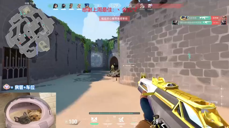 【2022-11-29 00点场】瓦罗兰特啊杰：【啊杰】：双倍亲密度！！！