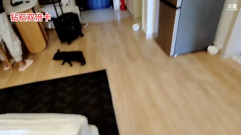 【户外】川味箩卜的精彩时刻 20221129 14点场