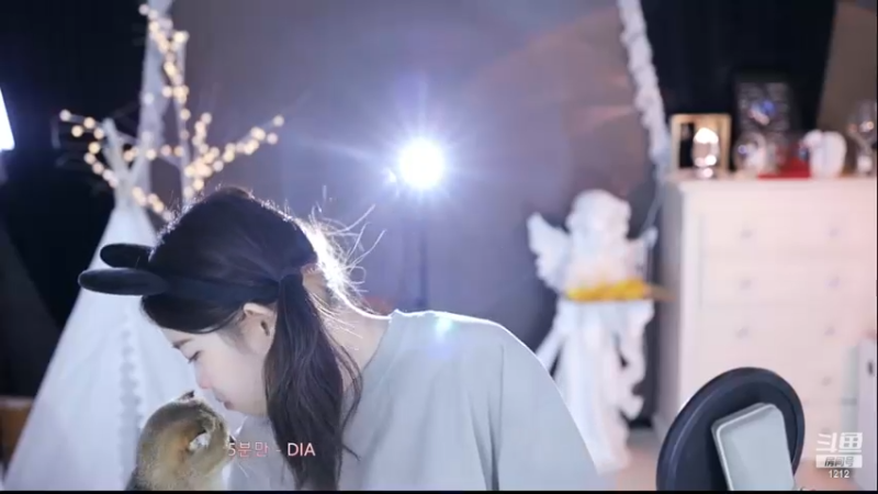 【2022-11-29 09点场】小肉球阿：11bb生日快乐~~~