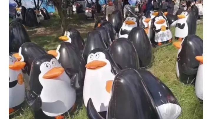 测试录像