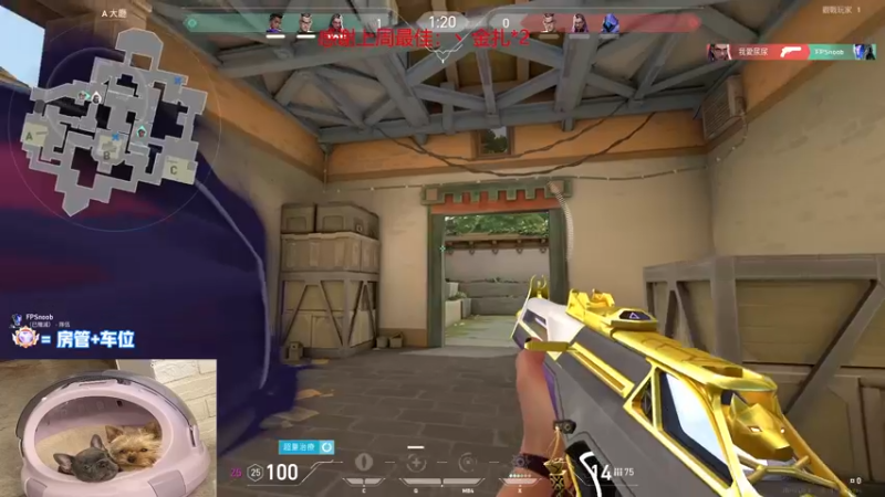 【2022-11-28 20点场】瓦罗兰特啊杰：【啊杰】：双倍亲密度！！！