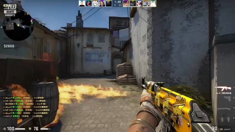 【2022-11-30 22点场】海豹zzz：最近都csgo！