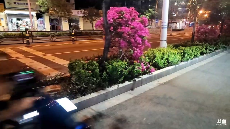 【户外】叶子户外的精彩时刻 20221130 00点场