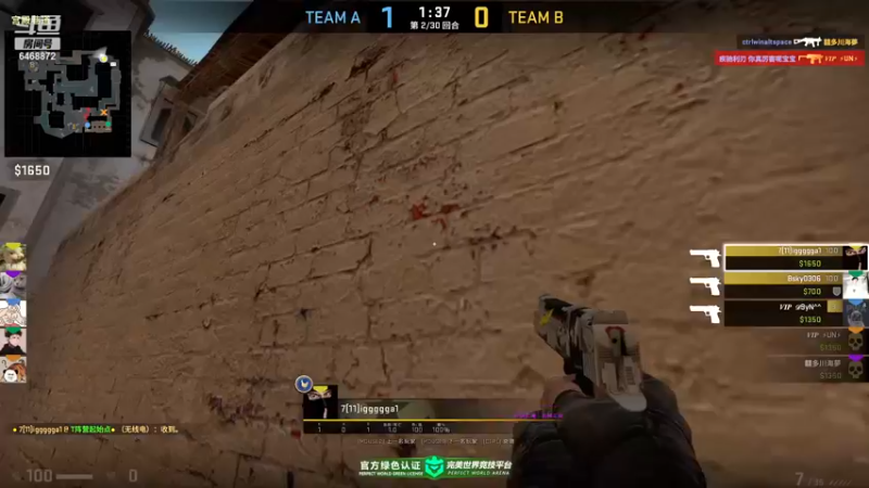 【2022-11-30 16点场】海豹zzz：最近都csgo！