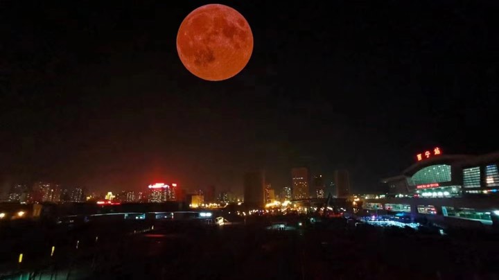 今日游戏：都市天际线➕鹅鹅杀
