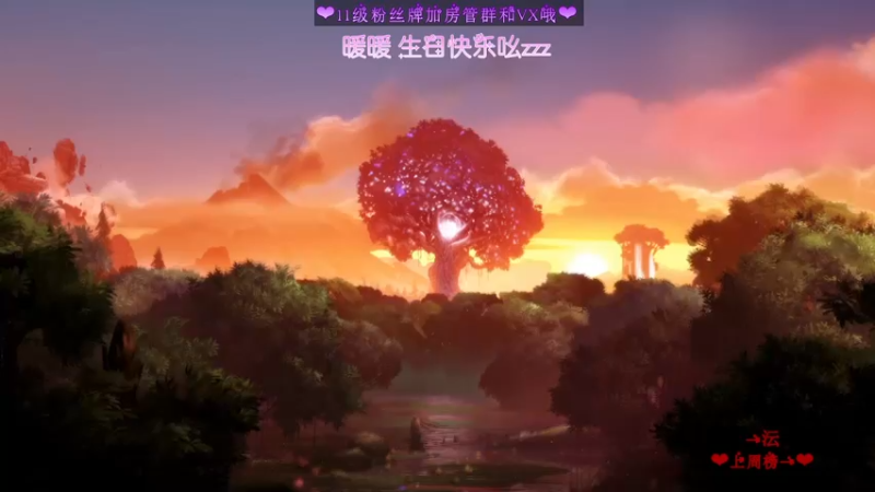 【2022-11-30 22点场】温暖的暖眸：暖暖-谢谢你的爱