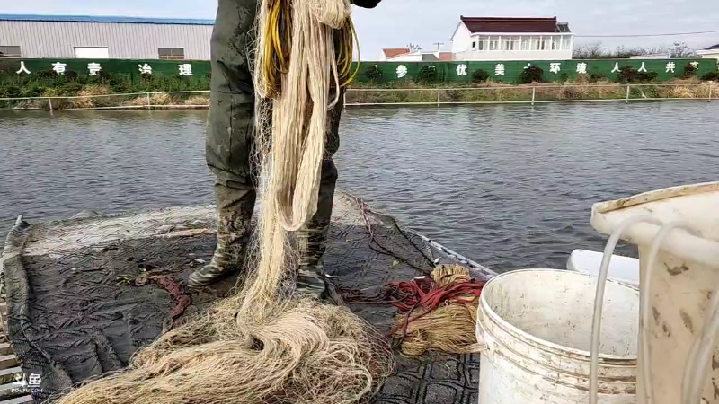 【户外】微山湖捕鱼武工队的精彩时刻 20221201 14点场