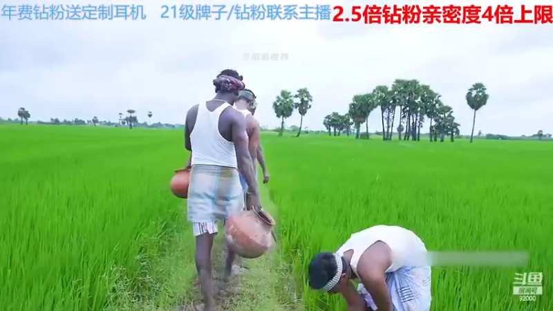 【2022-12-01 02点场】呆妹儿小霸王：【钻粉2.5倍】：一起see