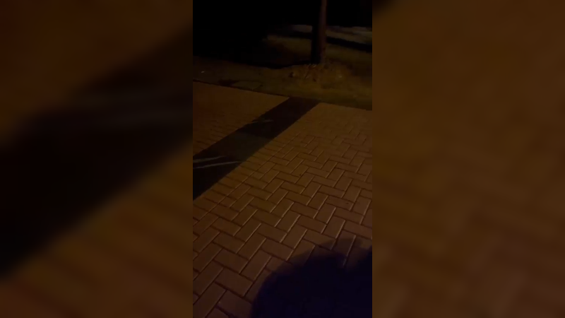 今年有陪你们看雪的人吗，余姚下雪了