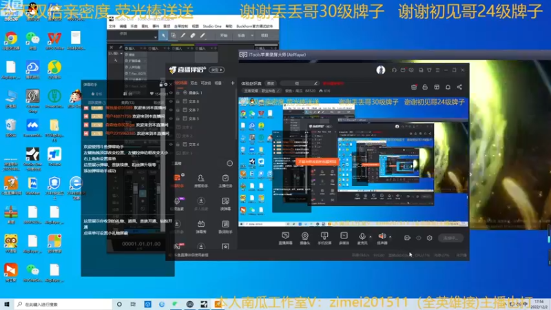 【2022-12-02 17点场】爱鱼丶南瓜：国1铠 巅峰冲前十