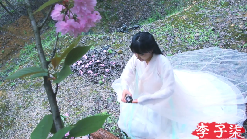 【美食】李子柒liziqi的精彩时刻 20221202 00点场