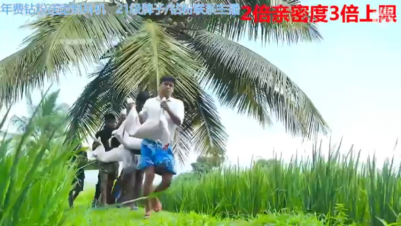 【2022-12-02 06点场】呆妹儿小霸王：【黄金3倍】：三台橙子上线啦