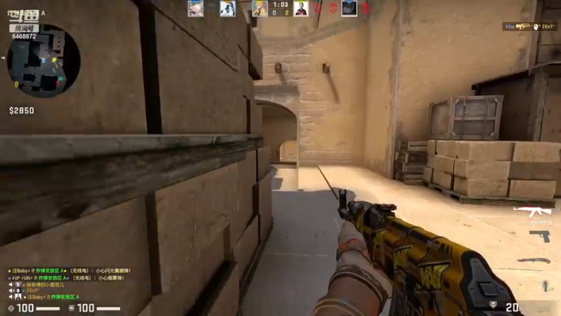 【2022-12-02 00点场】海豹zzz：最近都csgo！
