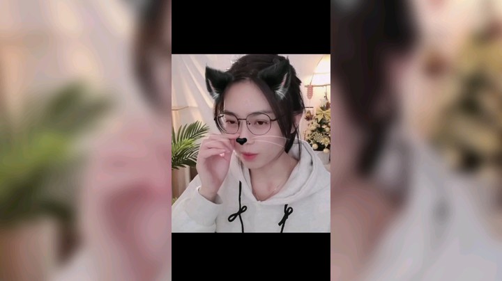 小猫咪