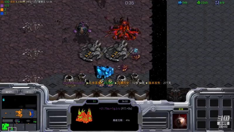 【2022-12-02 12点场】星际DSA联赛：天使风暴专业版DSA8.2.6x39