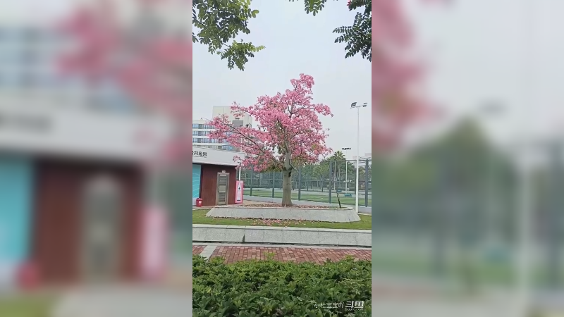 雨中漫步，欣赏雨中的大镜山水库