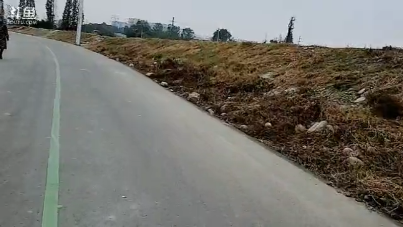 【汽车】主播宋师傅的精彩时刻 20221203 15点场