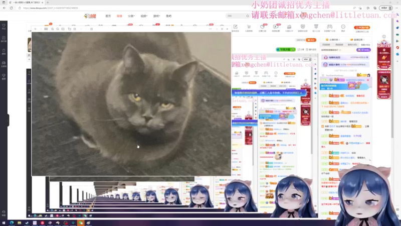 【2022-12-04 23点场】一条小团团OvO：啦啦啦啦 上班咯