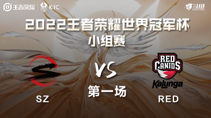 世界冠军杯小组赛 巴西RED VS 日本SZ 第一场