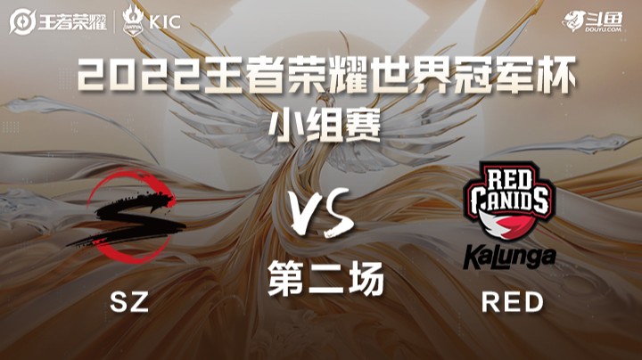世界冠军杯小组赛 巴西RED VS 日本SZ 第二场