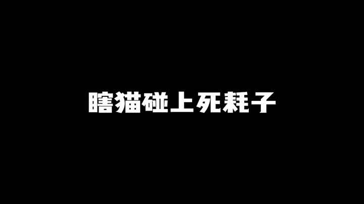 瞎猫碰上死耗子