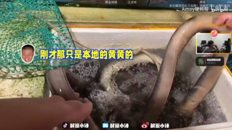 【2022-12-04 14点场】CSGO解说伟伟：双倍 最懂CSGO的直播间