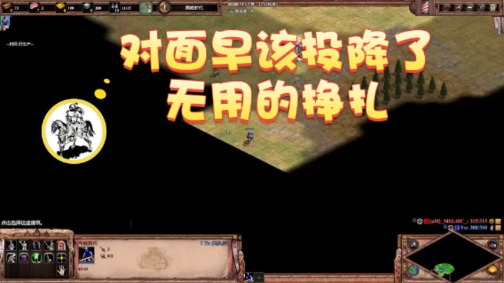 【帝国时代猜火车Yo】：对面早该投降了，无用的挣扎